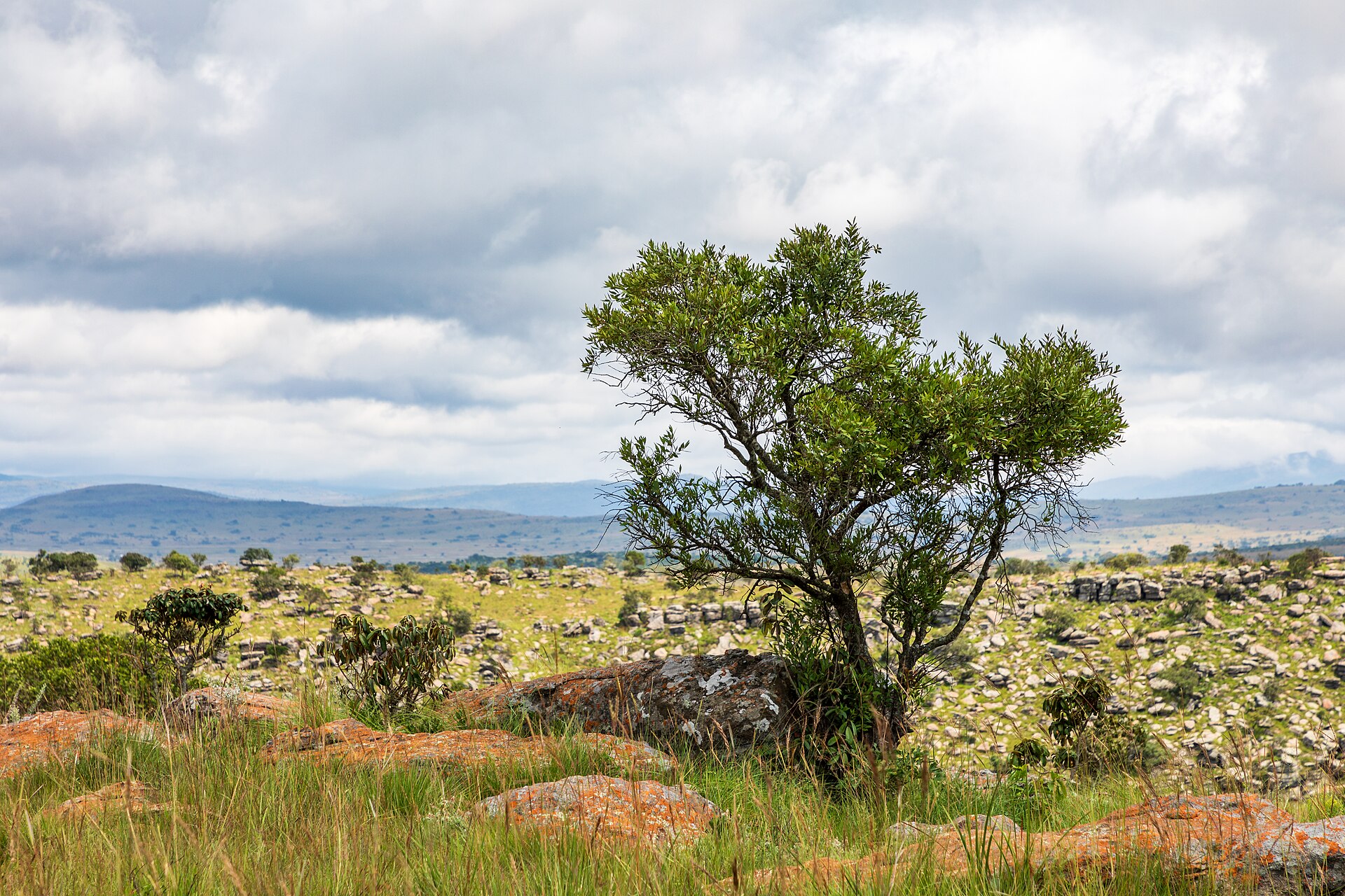 empty landscape viewpoint