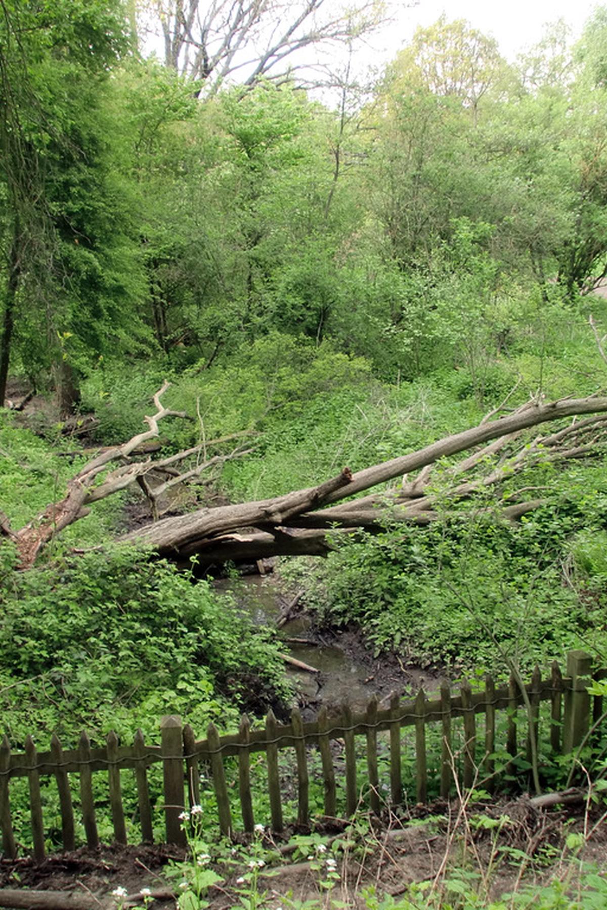 Hampstead Heath London England